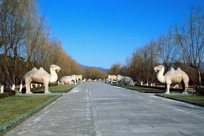 All Inclusive Private Tour to Mutianyu Great Wall and Ming Tombs - Lunch at a local restaurant: part of the whole day, not an afterthought
