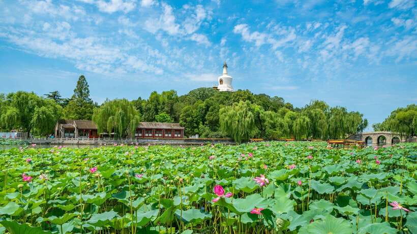 Beijing: Beihai Park Entry Ticket & English PDF Guidebook - English PDF guidebook: what it gives you (and how to use it)