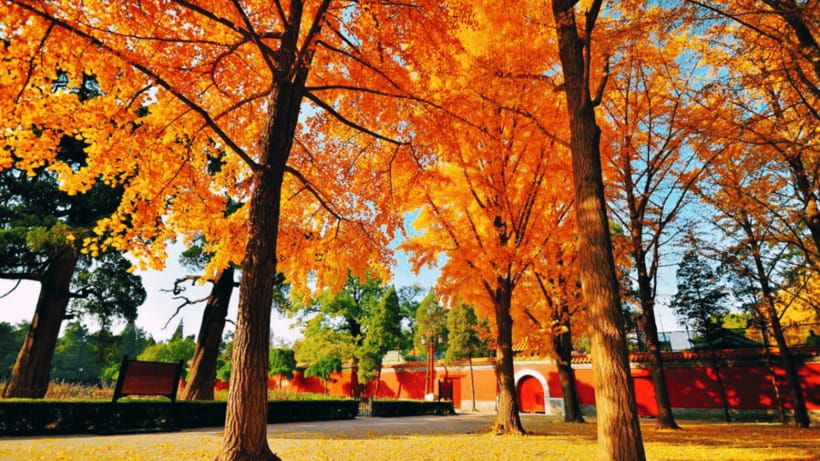 Beijing: JingShan park (palace museum garden) entry ticket - Imperial Garden Mood: What You’ll See While You Walk the Grounds