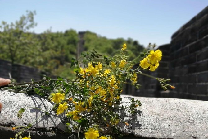 Beijing Private Transfer: Badaling Great Wall with VIP Past Pass - Door-to-door transfer from your Beijing hotel (and what to expect in the car)