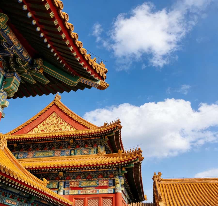 Beijing: Temple of Heaven and Forbidden City Private Tour - Tiananmen Square: quick, guided orientation around major landmarks