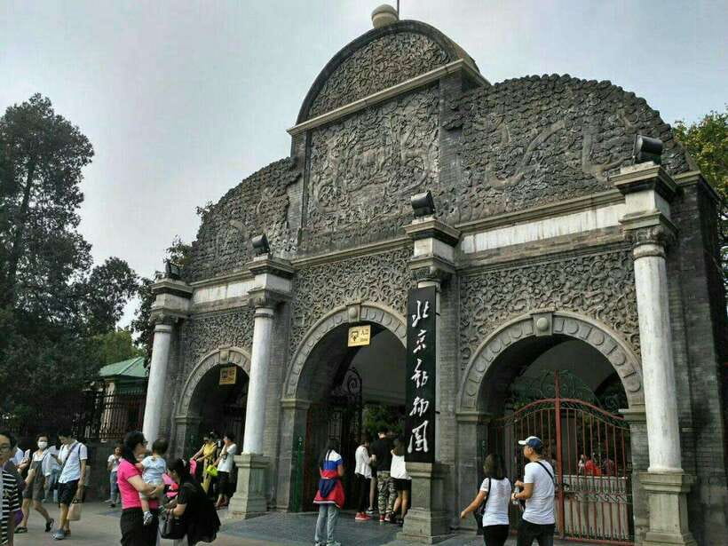 Beijing: The Beijing Zoo Entry Ticket with Pandas - Key Points You’ll Care About