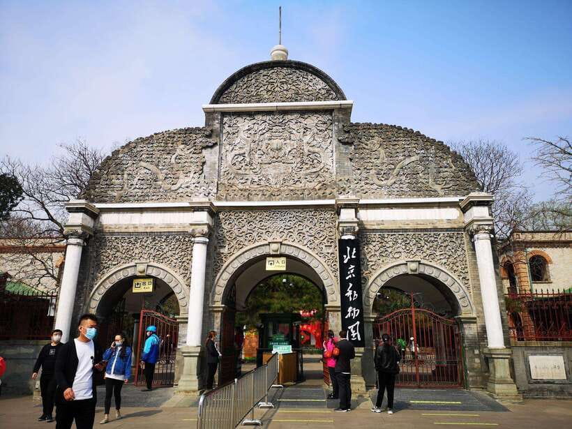 Beijing: The Beijing Zoo Entry Ticket with Pandas - Using the QR Code and Passport: The Part That Must Be Right