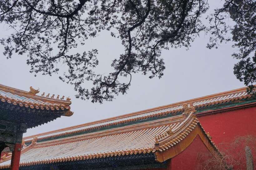 Beijing:Forbidden City & Tian'anmen Square with entry ticket - Weather and construction: your “plan B” inside the plan