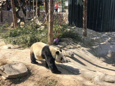 Beijing:Summer Palace Private/Group Tour or book Ticket Only - Getting Oriented: How the Tour Uses Specific Halls to Tell the Cixi Story