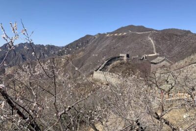 Layover Trip to Great Wall with English Driver in Beijing - The Driver and the Car: Comfort, Safety, and English Clarity