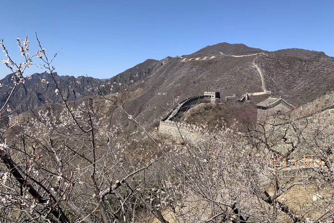Layover Trip to Great Wall with English Driver in Beijing - The Driver and the Car: Comfort, Safety, and English Clarity