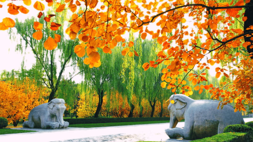Ming Tombs Admission Ticket - Zhaoling (Emperor Muzong): restoration and lifelike stone carving