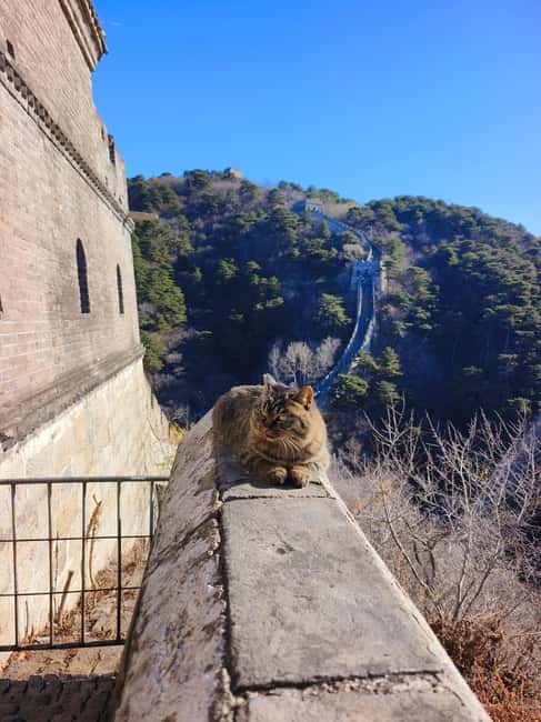 Mutianyu Great Wall Private Tour with English Driver - Price and value: what $98 per person buys you