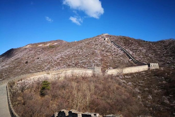Private Layover Tour to Mutianyu Great Wall and Forbidden City - Winter comfort: warm jackets and what to wear