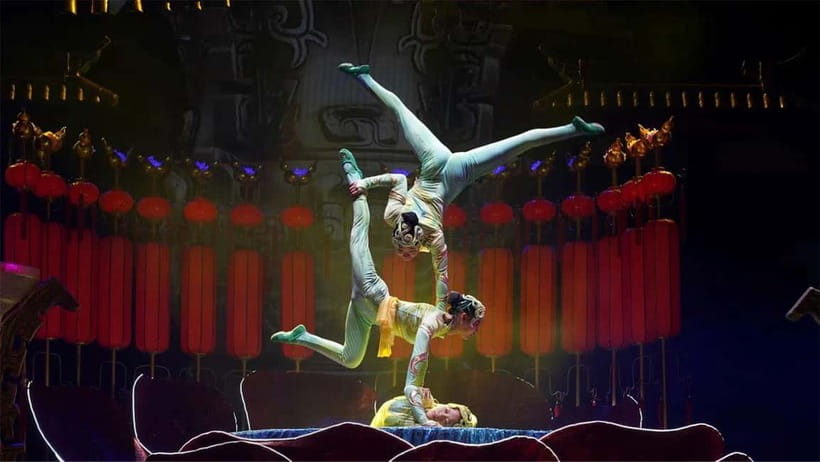 Red Theater Beijing Acrobatic Show Tickets With Option - Should You Book the Red Theatre Acrobatic Show?