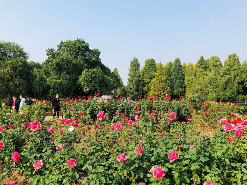 Temple of Heaven Ticket - Circular Mound Altar: how to finish strong in your 4-hour window