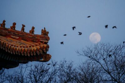 Top2 Beijing Forbidden City, Great Wall Flexible Private Tour OPT - Forbidden City: what you’ll actually focus on in ~2 hours