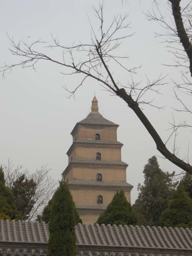 Xi'an: Terra-Cotta Warriors Entry with Optional Guide - What You’ll See at the Museum Pits and the Qin “Battle Formation”
